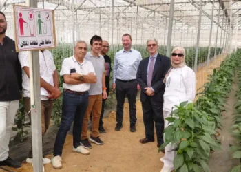 The European Commission delegation during its visit to Egyptian farms
