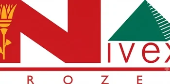 Nivex Frozen Logo